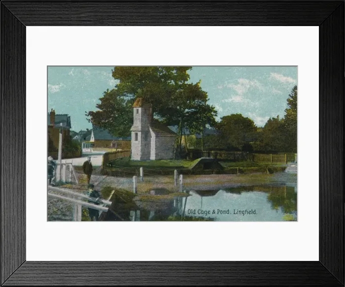 Framed Print : Old cage and pond, Lingfield, Surrey, c1905 Framed Print : Old cage and pond, Lingfield, Surrey, c1905