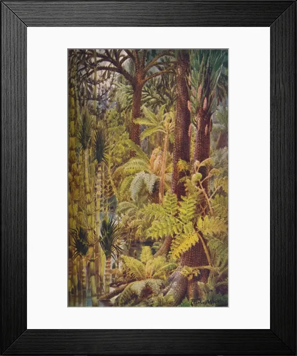 Framed Print : The gigantic vegetation of the Carboniferous Age, 1907 Framed Print : The gigantic vegetation of the Carboniferous Age, 1907