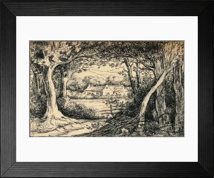 Framed Print : The End of the Glade, Epping Forest, c1900. Artist: Selwyn Image Framed Print : The End of the Glade, Epping Forest, c1900. Artist: Selwyn Image