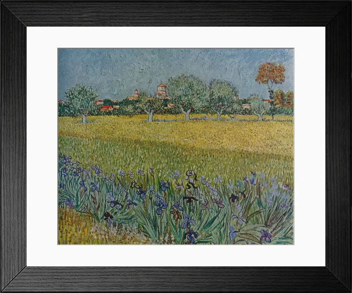 Framed Print : View of Ales with Irises in Bloom, 1888. Artist: Vincent van Gogh Framed Print : View of Ales with Irises in Bloom, 1888. Artist: Vincent van Gogh