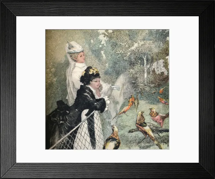 Framed Print : Le Jardin D Acclimatation, c1895. Artist: Felix Bracquemond Framed Print : Le Jardin D Acclimatation, c1895. Artist: Felix Bracquemond