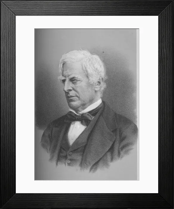 Framed Print : Robert Lowe, Viscount Sherbrooke, British politician, 1873 (1883) Framed Print : Robert Lowe, Viscount Sherbrooke, British politician, 1873 (1883)
