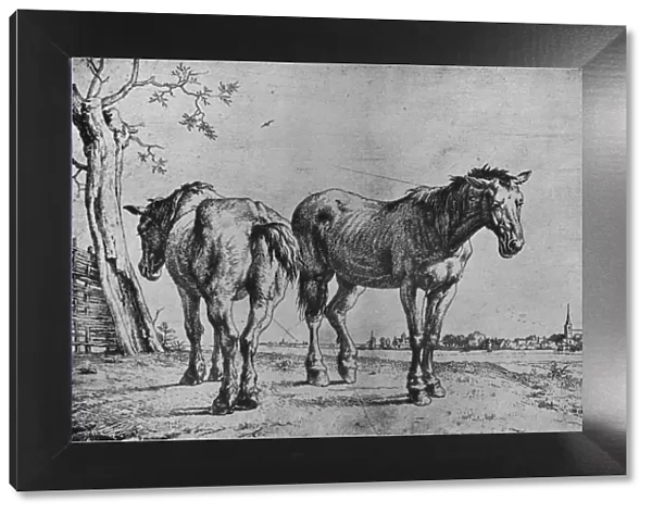 The Two Plough Horses, 1652. Artist: Paulus Potter