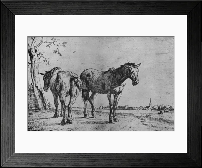 Framed Print : The Two Plough Horses, 1652. Artist: Paulus Potter Framed Print : The Two Plough Horses, 1652. Artist: Paulus Potter