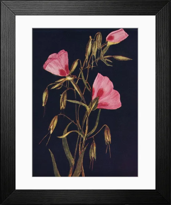 Framed Print : Farewell to Spring, c1915, (1915). Artist: Emma Graham Clock Framed Print : Farewell to Spring, c1915, (1915). Artist: Emma Graham Clock