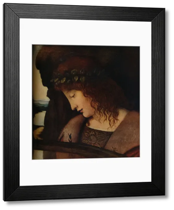Framed Print : Narcissus, c1500. Artist: Giovanni Antonio Boltraffio Framed Print : Narcissus, c1500. Artist: Giovanni Antonio Boltraffio