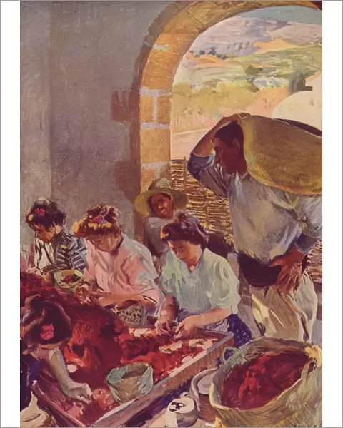 The Preparation of Dry Grapes, 1890, (c1932). Artist: Joaquin Sorolla y Bastida