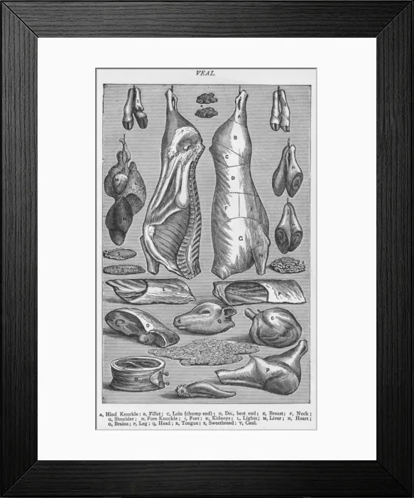 Framed Print : Veal, 1907, (1907) Framed Print : Veal, 1907, (1907)