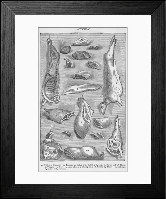 Framed Print : Mutton, 1907, (1907) Framed Print : Mutton, 1907, (1907)