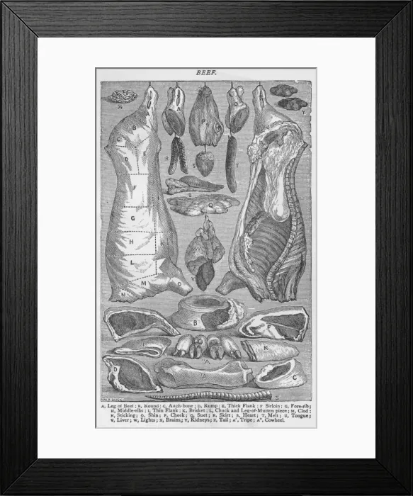 Framed Print : Beef, 1907, (1907) Framed Print : Beef, 1907, (1907)