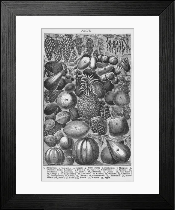 Framed Print : Fruit, 1907, (1907) Framed Print : Fruit, 1907, (1907)