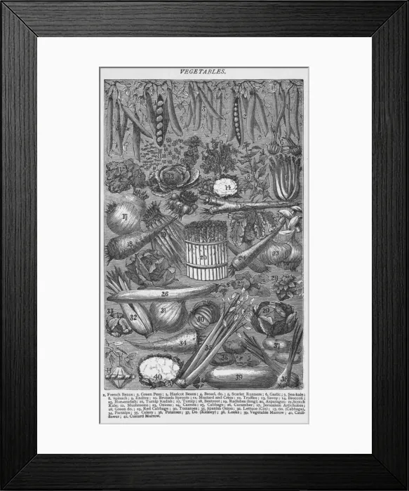 Framed Print : Vegetables, 1907, (1907) Framed Print : Vegetables, 1907, (1907)