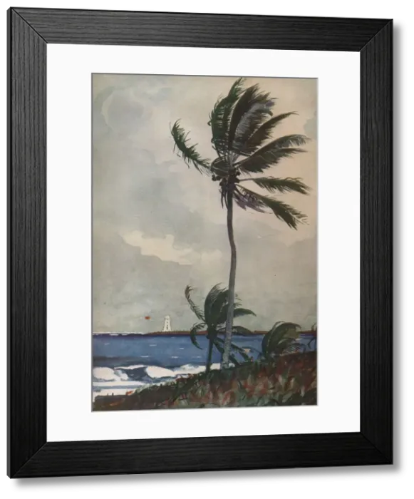 Framed Print : Palm Trees, Nassau, 1898, (1932). Artist: Winslow Homer Framed Print : Palm Trees, Nassau, 1898, (1932). Artist: Winslow Homer
