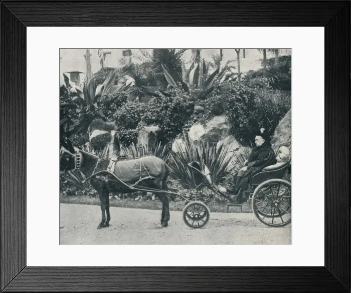 Framed Print : The Queen Driving in the Grounds of the Grand Hotel at Grasse During Her Holiday in the Riviera in Artist: Alexander Lamont Henderson Framed Print : The Queen Driving in the Grounds of the Grand Hotel at Grasse During Her Holiday in the Riviera in Artist: Alexander Lamont Henderson