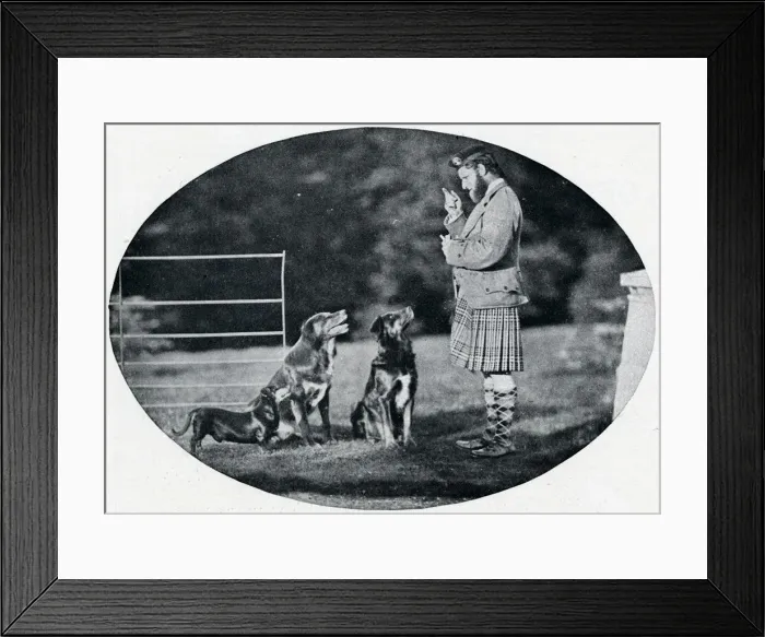 Framed Print : Mr. Francis Clark, The Queens Gillie, with three of her favourite dogs, c1899, (1901). Artist: GW Wilson and Company Framed Print : Mr. Francis Clark, The Queens Gillie, with three of her favourite dogs, c1899, (1901). Artist: GW Wilson and Company
