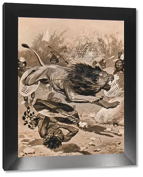 As The Lion Charged, 1902, (1903). Artist: Stanley Llewellyn Wood