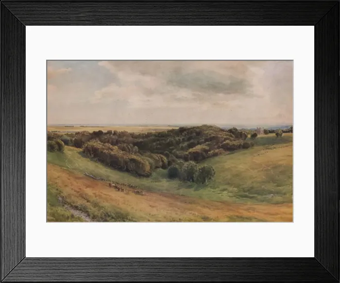 Framed Print : Arundel Park, 1874. Artist: Thomas Collier Framed Print : Arundel Park, 1874. Artist: Thomas Collier