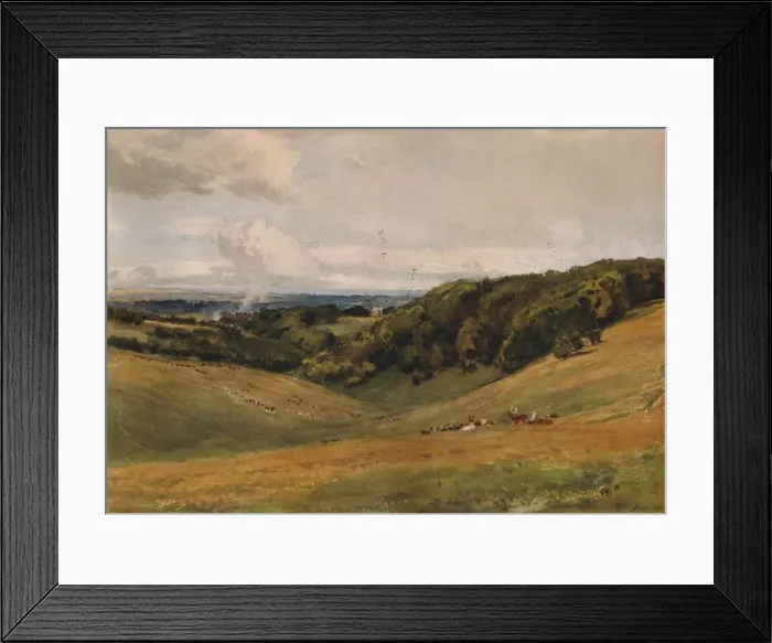 Framed Print : Arundel Park, with Deer, 1880. Artist: Thomas Collier Framed Print : Arundel Park, with Deer, 1880. Artist: Thomas Collier