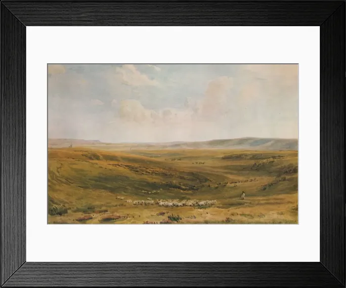 Framed Print : The Downs near Lewes (Seaford Cliff in the distance), c1887. Artist: Thomas Collier Framed Print : The Downs near Lewes (Seaford Cliff in the distance), c1887. Artist: Thomas Collier