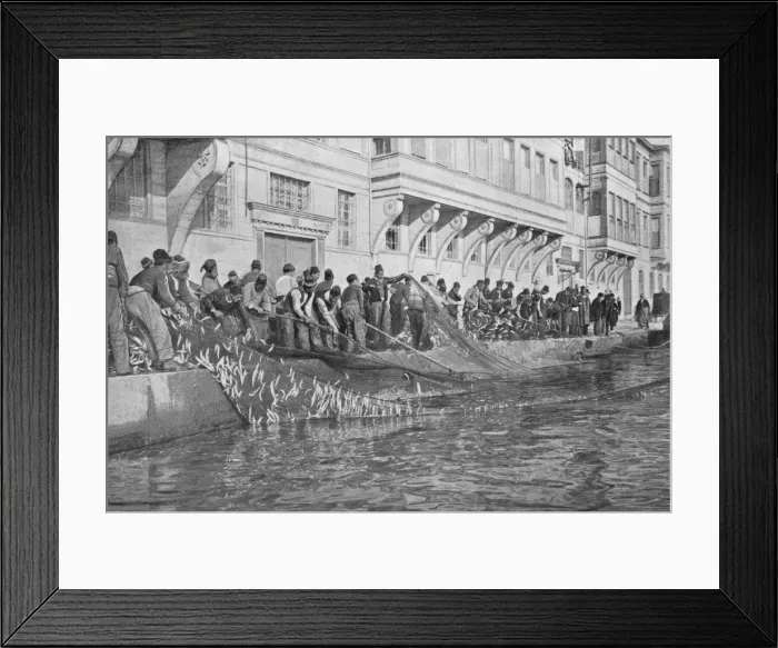 Framed Print : Hauling in a Grippo of 15000 Fish at Emirgian on the Bosphorus, c1901, (1903) Framed Print : Hauling in a Grippo of 15000 Fish at Emirgian on the Bosphorus, c1901, (1903)