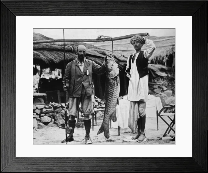 Framed Print : 59 lb Mahseer, Caught by Capt. H. B. D. Campbell, R. E. in the Upper Ganges, c1903, (1903) Framed Print : 59 lb Mahseer, Caught by Capt. H. B. D. Campbell, R. E. in the Upper Ganges, c1903, (1903)