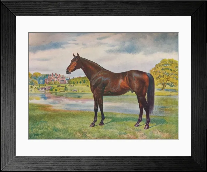 Framed Print : Persimmon, c1905 (c1910)