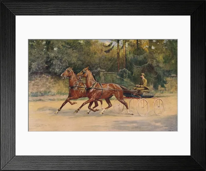 Framed Print : Trotting pair of Walter Winans, 1900 (c1910). Artist: Thomas Blinks Framed Print : Trotting pair of Walter Winans, 1900 (c1910). Artist: Thomas Blinks