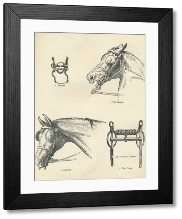 Framed Print : Horse bits, good and bad, c1909 (c1910) Framed Print : Horse bits, good and bad, c1909 (c1910)