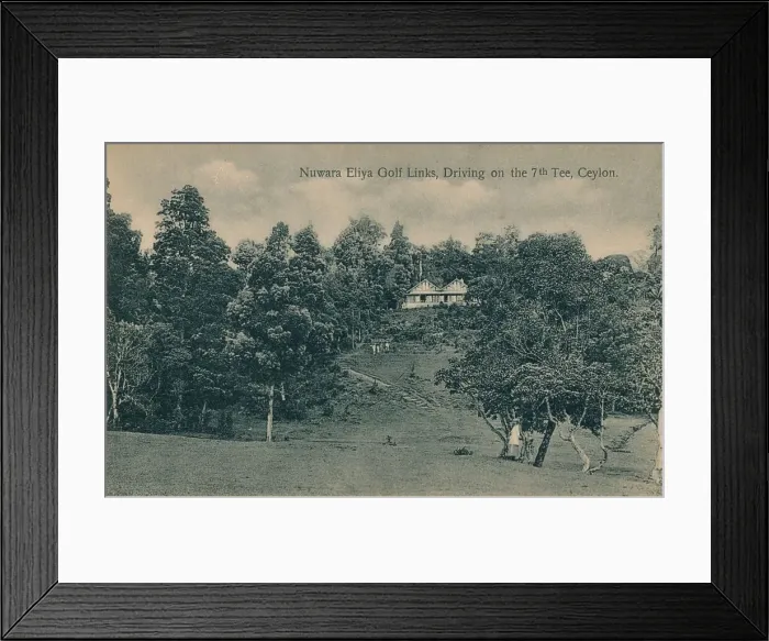 Framed Print : Nuwara Eliya Golf Links, Driving on the 7th Tee, Ceylon, c1900 Framed Print : Nuwara Eliya Golf Links, Driving on the 7th Tee, Ceylon, c1900