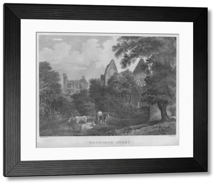Framed Print : Dryburgh Abbey, 1804. Artist: James Fittler Framed Print : Dryburgh Abbey, 1804. Artist: James Fittler