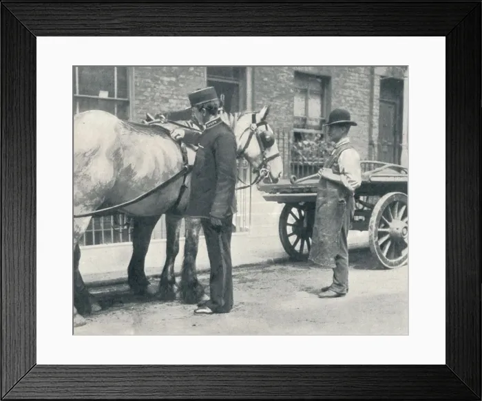 Framed Print : RSPCA inspector examining a horse, c1903 (1903) Framed Print : RSPCA inspector examining a horse, c1903 (1903)