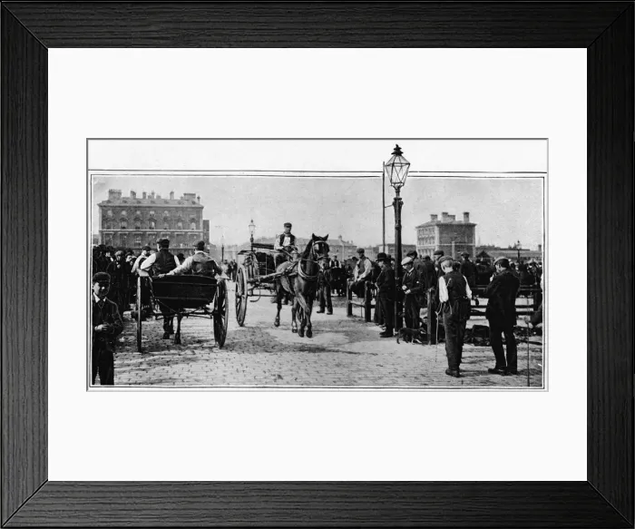 Framed Print : On the stones, Islington Cattle Market, London, c1902 (1903) Framed Print : On the stones, Islington Cattle Market, London, c1902 (1903)