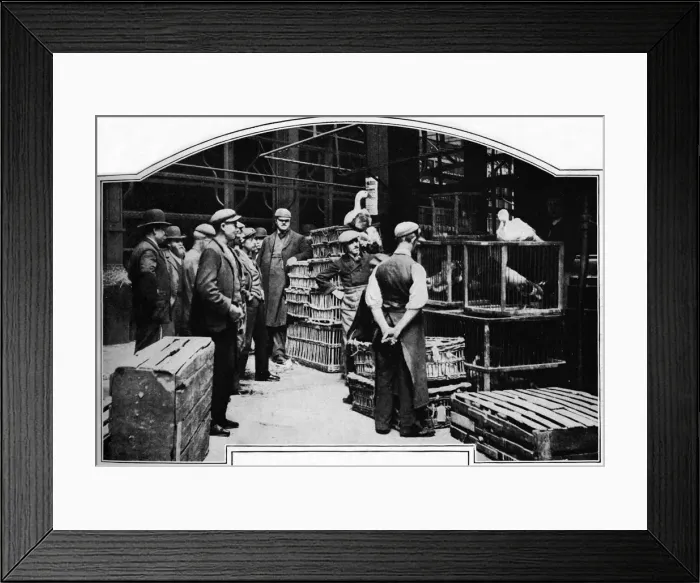 Framed Print : A corner of Leadenhall Market, London, c1901 (1901) Framed Print : A corner of Leadenhall Market, London, c1901 (1901)