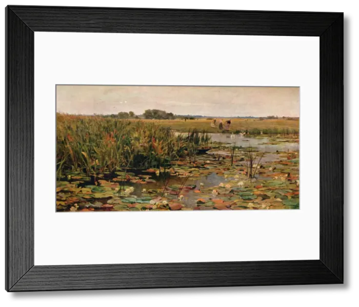 Framed Print : Water Lilies, c1870. Artist: James Aumonier Framed Print : Water Lilies, c1870. Artist: James Aumonier