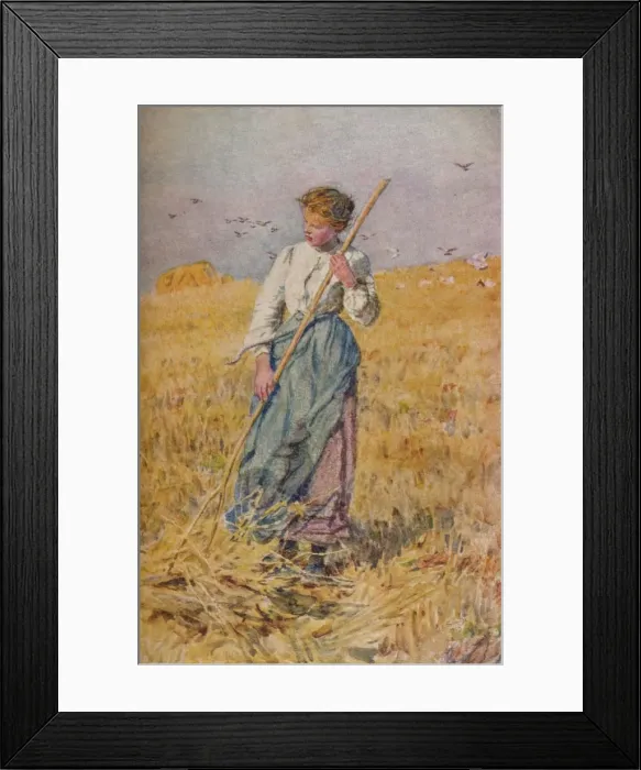 Framed Print : Gleaning Oats, France, c1900. Artist: Lionel Percy Smythe Framed Print : Gleaning Oats, France, c1900. Artist: Lionel Percy Smythe