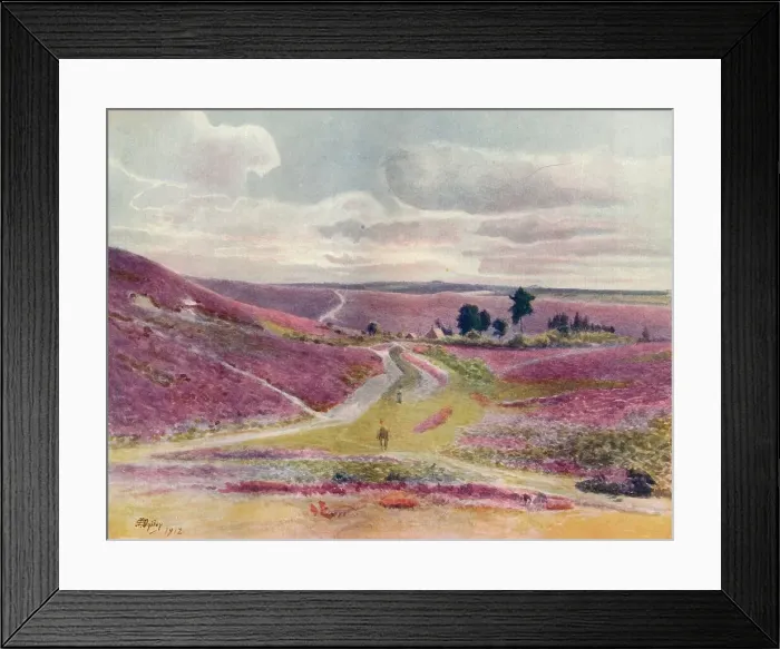 Framed Print : Moorland at Frensham, 1912, (1914). Artist: Jamess Ogilvy Framed Print : Moorland at Frensham, 1912, (1914). Artist: Jamess Ogilvy