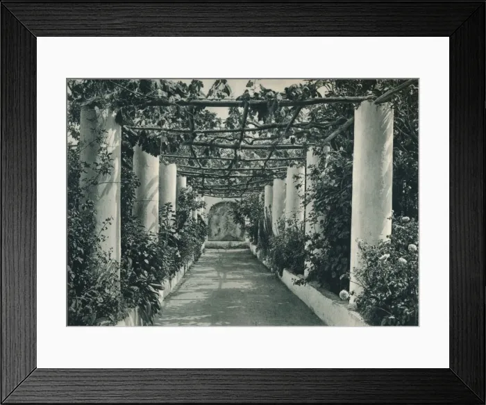 Framed Print : Pergola in a vineyard, Capri, Italy, 1927. Artist: Eugen Poppel Framed Print : Pergola in a vineyard, Capri, Italy, 1927. Artist: Eugen Poppel