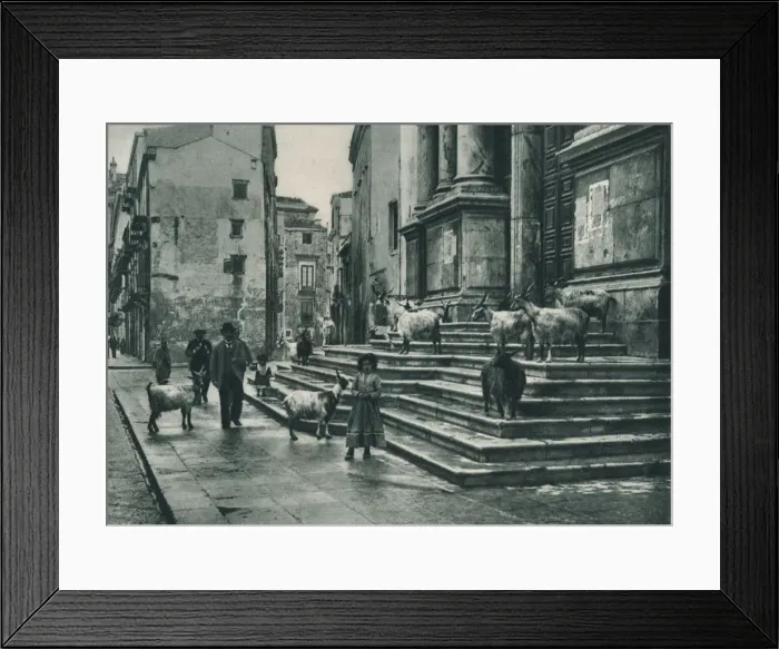 Framed Print : Goats on the steps of the Cathedral, Palermo, Sicily, Italy, 1927. Artist: Eugen Poppel Framed Print : Goats on the steps of the Cathedral, Palermo, Sicily, Italy, 1927. Artist: Eugen Poppel