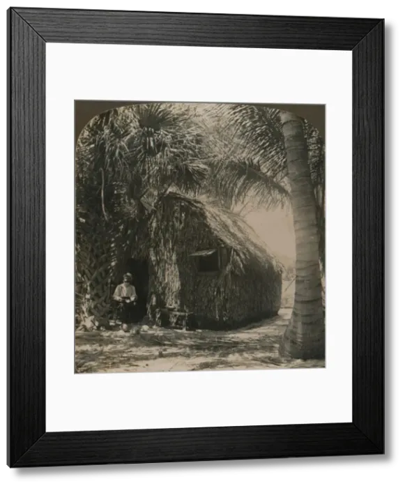 Framed Print : Thatched Cottage in Cocoanut Grove, Florida, U. S. A. c1900 Framed Print : Thatched Cottage in Cocoanut Grove, Florida, U. S. A. c1900
