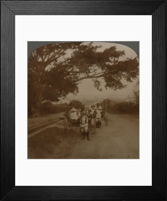 Framed Print : Cabs drawn by natives on a residence road, Durban, S. Africa, c1900 Framed Print : Cabs drawn by natives on a residence road, Durban, S. Africa, c1900