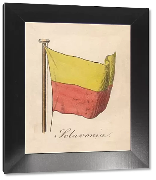 Selavonia, 1838