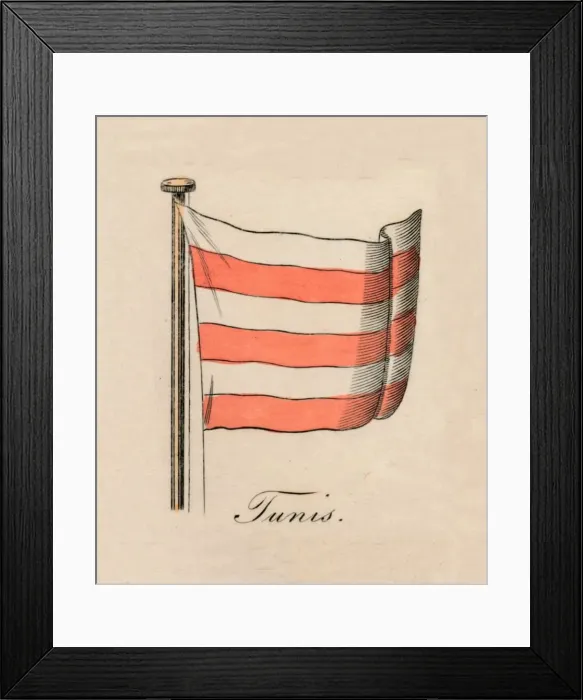 Framed Print : Tunis, 1838 Framed Print : Tunis, 1838