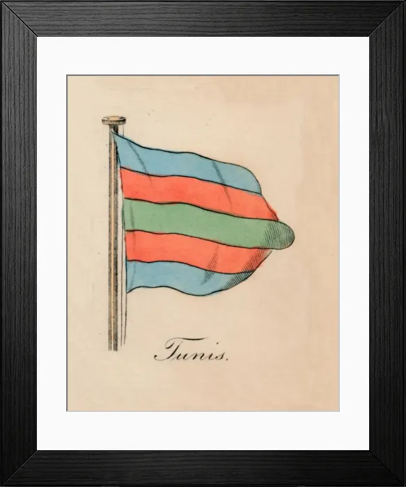 Framed Print : Tunis, 1838