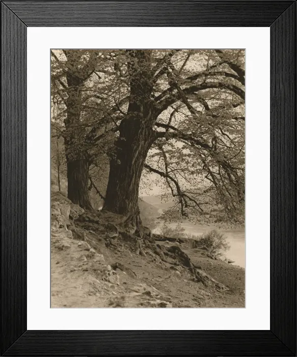 Framed Print : In the Valley of the Nab, 1931. Artist: Kurt Hielscher Framed Print : In the Valley of the Nab, 1931. Artist: Kurt Hielscher