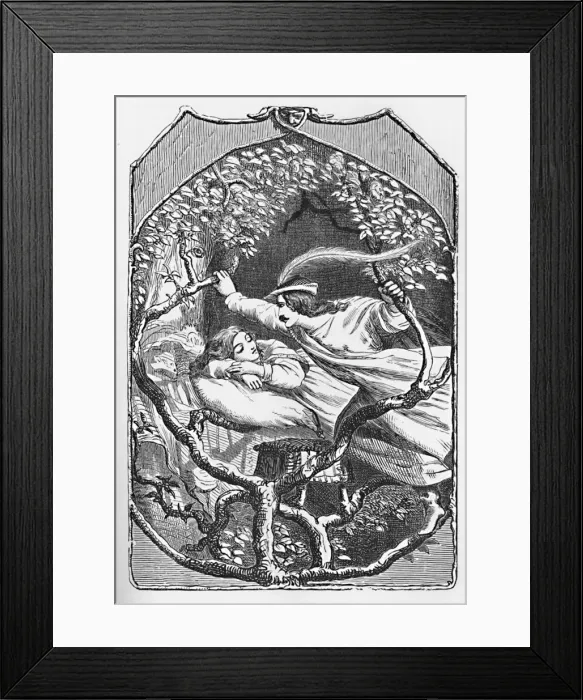 Framed Print : Briar Rose, 1901. Artist: Edward Henry Wehnert Framed Print : Briar Rose, 1901. Artist: Edward Henry Wehnert
