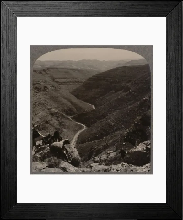 Framed Print : Valley of the Arno, shepherd and sheep in foreground, c1900 Framed Print : Valley of the Arno, shepherd and sheep in foreground, c1900