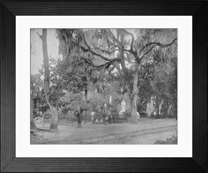 Framed Print : The Cemetery of Bonaventure, 19th century Framed Print : The Cemetery of Bonaventure, 19th century