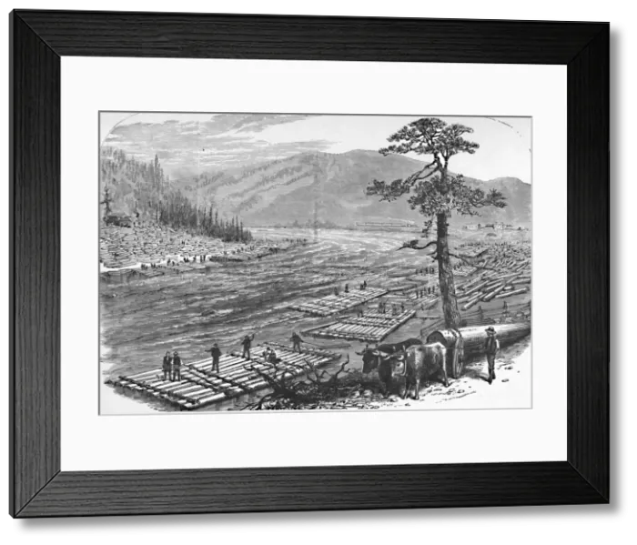 Framed Print : Making Up Rafts on the Susquehanna River. A Scene on the Line of the Erie Railroad, 1883 Framed Print : Making Up Rafts on the Susquehanna River. A Scene on the Line of the Erie Railroad, 1883