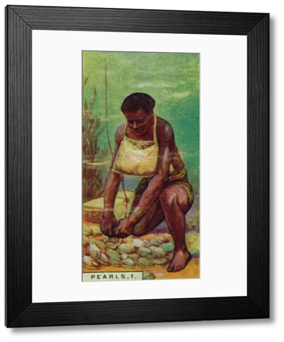 Framed Print : Pearls 1. Native Diver at Work, Ceylon, 1928 Framed Print : Pearls 1. Native Diver at Work, Ceylon, 1928