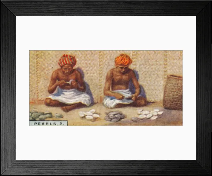 Framed Print : Pearls, 2. - Openng the Oysters, Ceylon, 1928 Framed Print : Pearls, 2. - Openng the Oysters, Ceylon, 1928